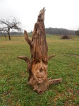 Pařez , bez nátěru. Výška 41cm 