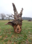 Pařez , bez nátěru. Výška 40cm. 