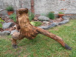 Pařez 