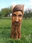 Stromovous- mat. borovice, orientační cena 8.500,-Kč v dubu. 